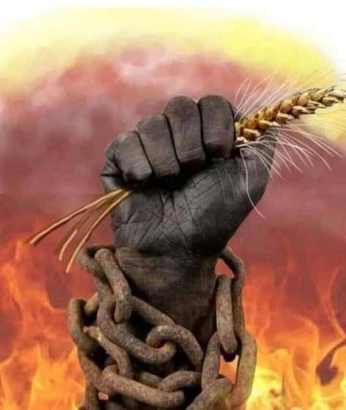 التوزيع و تسجیل