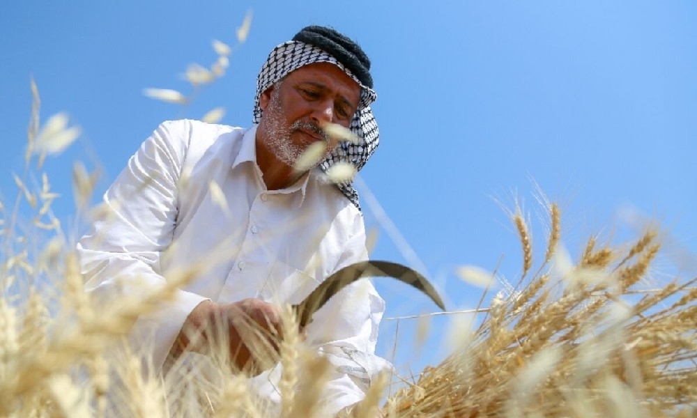 التحديات التاريخية فی العراق