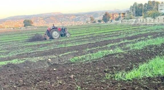 تنظيم الملكية والتسجيل